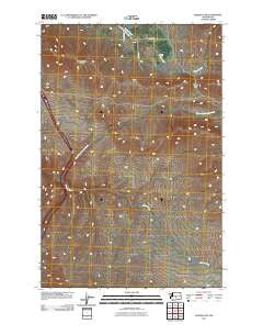Badger Gap Washington Historical topographic map, 1:24000 scale, 7.5 X 7.5 Minute, Year 2011