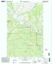 Bailey Creek Washington Historical topographic map, 1:24000 scale, 7.5 X 7.5 Minute, Year 2001