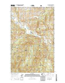 Bailey Creek Washington Current topographic map, 1:24000 scale, 7.5 X 7.5 Minute, Year 2014