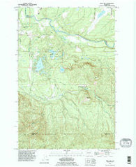 Bald Hill Washington Historical topographic map, 1:24000 scale, 7.5 X 7.5 Minute, Year 1990