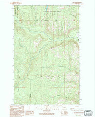 Bald Knob Washington Historical topographic map, 1:24000 scale, 7.5 X 7.5 Minute, Year 1989