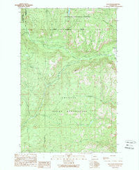 Bald Knob Washington Historical topographic map, 1:24000 scale, 7.5 X 7.5 Minute, Year 1989
