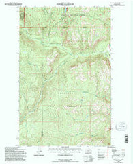 Bald Knob Washington Historical topographic map, 1:24000 scale, 7.5 X 7.5 Minute, Year 1992