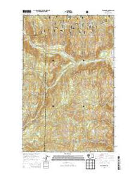 Bald Knob Washington Current topographic map, 1:24000 scale, 7.5 X 7.5 Minute, Year 2014