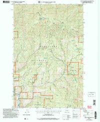 Baldy Mountain Washington Historical topographic map, 1:24000 scale, 7.5 X 7.5 Minute, Year 2004