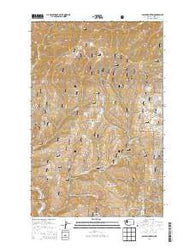 Baldy Mountain Washington Current topographic map, 1:24000 scale, 7.5 X 7.5 Minute, Year 2014