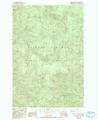 Bare Mountain Washington Historical topographic map, 1:24000 scale, 7.5 X 7.5 Minute, Year 1986