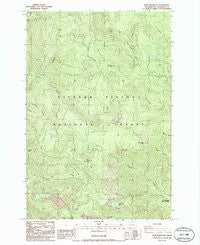 Bare Mountain Washington Historical topographic map, 1:24000 scale, 7.5 X 7.5 Minute, Year 1986