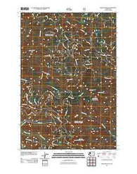 Bare Mountain Washington Historical topographic map, 1:24000 scale, 7.5 X 7.5 Minute, Year 2011