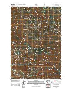 Bare Mountain Washington Historical topographic map, 1:24000 scale, 7.5 X 7.5 Minute, Year 2011