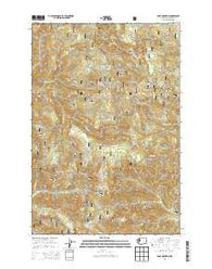 Bare Mountain Washington Current topographic map, 1:24000 scale, 7.5 X 7.5 Minute, Year 2013