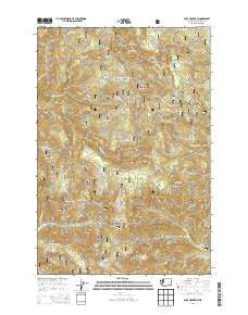 Bare Mountain Washington Current topographic map, 1:24000 scale, 7.5 X 7.5 Minute, Year 2013