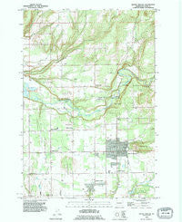 Battle Ground Washington Historical topographic map, 1:24000 scale, 7.5 X 7.5 Minute, Year 1990