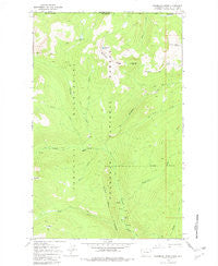 Bauerman Ridge Washington Historical topographic map, 1:24000 scale, 7.5 X 7.5 Minute, Year 1969