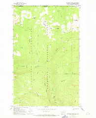 Bauerman Ridge Washington Historical topographic map, 1:24000 scale, 7.5 X 7.5 Minute, Year 1969