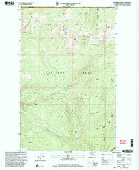 Bauerman Ridge Washington Historical topographic map, 1:24000 scale, 7.5 X 7.5 Minute, Year 2001