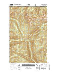 Bauerman Ridge Washington Current topographic map, 1:24000 scale, 7.5 X 7.5 Minute, Year 2014
