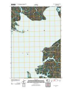 Bay Center Washington Historical topographic map, 1:24000 scale, 7.5 X 7.5 Minute, Year 2011
