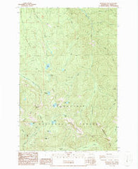 Bearhead Mtn Washington Historical topographic map, 1:24000 scale, 7.5 X 7.5 Minute, Year 1986