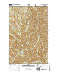 Bearhead Mountain Washington Current topographic map, 1:24000 scale, 7.5 X 7.5 Minute, Year 2014