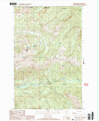 Bearpaw Mountain Washington Historical topographic map, 1:24000 scale, 7.5 X 7.5 Minute, Year 1989