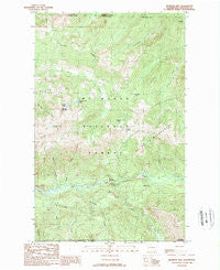 Bearpaw Mountain Washington Historical topographic map, 1:24000 scale, 7.5 X 7.5 Minute, Year 1989