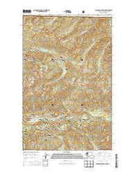 Bearpaw Mountain Washington Current topographic map, 1:24000 scale, 7.5 X 7.5 Minute, Year 2014