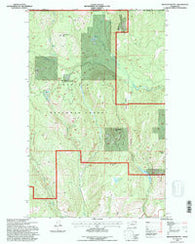 Belshazzar Mtn Washington Historical topographic map, 1:24000 scale, 7.5 X 7.5 Minute, Year 1992