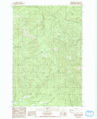 Bernier Creek Washington Historical topographic map, 1:24000 scale, 7.5 X 7.5 Minute, Year 1985