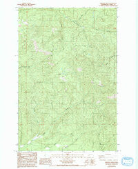 Bernier Creek Washington Historical topographic map, 1:24000 scale, 7.5 X 7.5 Minute, Year 1985