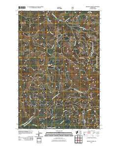 Bernier Creek Washington Historical topographic map, 1:24000 scale, 7.5 X 7.5 Minute, Year 2011