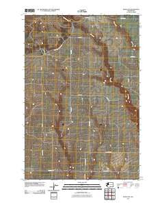 Bickleton Washington Historical topographic map, 1:24000 scale, 7.5 X 7.5 Minute, Year 2011