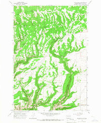 Bickleton NW Washington Historical topographic map, 1:24000 scale, 7.5 X 7.5 Minute, Year 1965