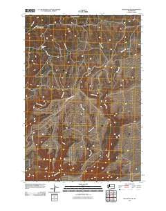 Bickleton NW Washington Historical topographic map, 1:24000 scale, 7.5 X 7.5 Minute, Year 2011