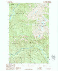 Big Devil Peak Washington Historical topographic map, 1:24000 scale, 7.5 X 7.5 Minute, Year 1989
