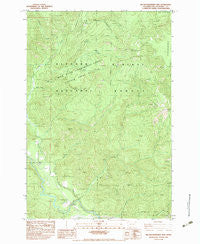 Big Huckleberry Mtn Washington Historical topographic map, 1:24000 scale, 7.5 X 7.5 Minute, Year 1983