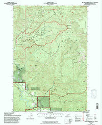 Big Huckleberry Mtn Washington Historical topographic map, 1:24000 scale, 7.5 X 7.5 Minute, Year 1994