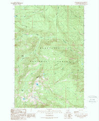 Big Jim Mountain Washington Historical topographic map, 1:24000 scale, 7.5 X 7.5 Minute, Year 1989