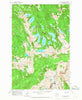 Big Snow Mtn Washington Historical topographic map, 1:24000 scale, 7.5 X 7.5 Minute, Year 1965