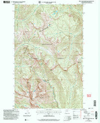 Billy Goat Mountain Washington Historical topographic map, 1:24000 scale, 7.5 X 7.5 Minute, Year 2002