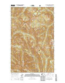Billy Goat Mountain Washington Current topographic map, 1:24000 scale, 7.5 X 7.5 Minute, Year 2014