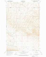 Black Rock Spring NW Washington Historical topographic map, 1:24000 scale, 7.5 X 7.5 Minute, Year 1953