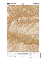 Black Rock Spring NE Washington Current topographic map, 1:24000 scale, 7.5 X 7.5 Minute, Year 2013