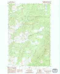 Blackhorse Canyon Washington Historical topographic map, 1:24000 scale, 7.5 X 7.5 Minute, Year 1985