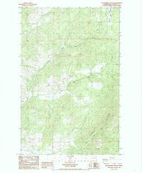 Blackhorse Canyon Washington Historical topographic map, 1:24000 scale, 7.5 X 7.5 Minute, Year 1985