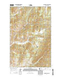 Blackhorse Canyon Washington Current topographic map, 1:24000 scale, 7.5 X 7.5 Minute, Year 2014