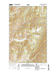 Blackhorse Canyon Washington Current topographic map, 1:24000 scale, 7.5 X 7.5 Minute, Year 2014