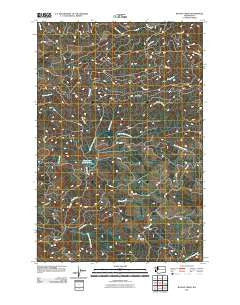 Blaney Creek Washington Historical topographic map, 1:24000 scale, 7.5 X 7.5 Minute, Year 2011