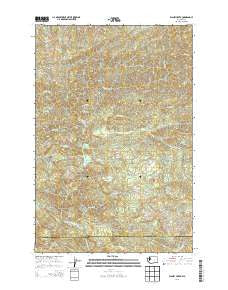 Blaney Creek Washington Current topographic map, 1:24000 scale, 7.5 X 7.5 Minute, Year 2013