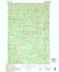 Blewett Pass Washington Historical topographic map, 1:24000 scale, 7.5 X 7.5 Minute, Year 1989